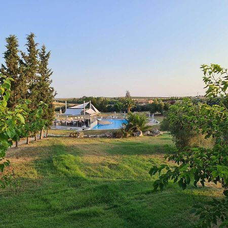 Janis Seaview Villa Néa Fókaia エクステリア 写真