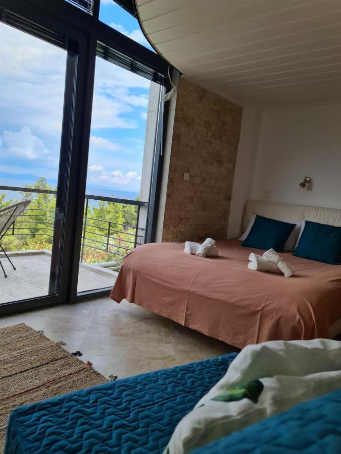Janis Seaview Villa Néa Fókaia エクステリア 写真