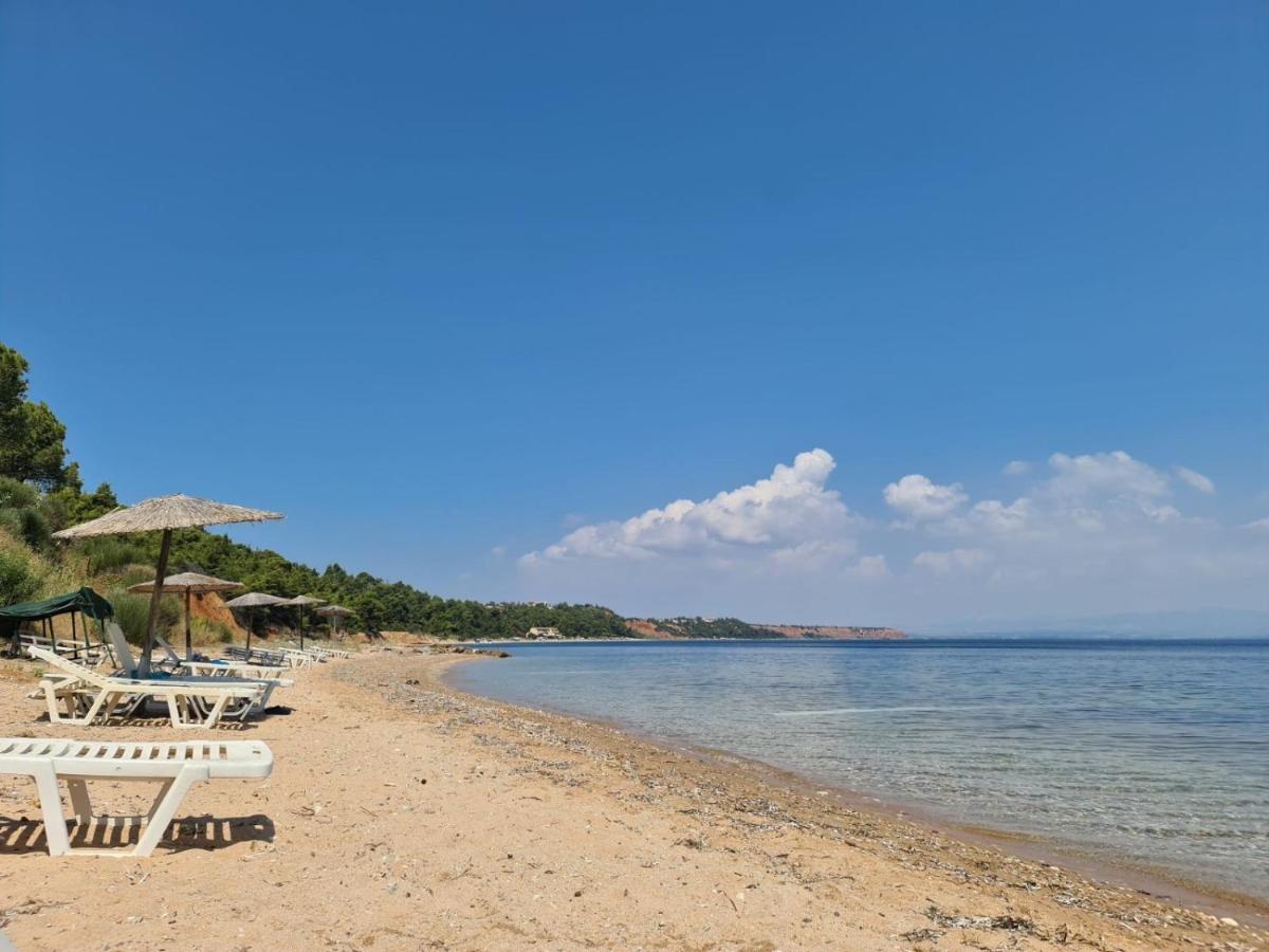 Janis Seaview Villa Néa Fókaia エクステリア 写真